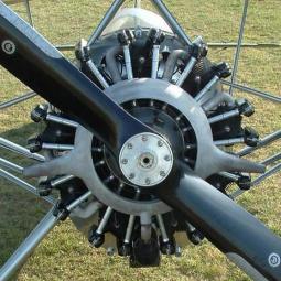 Maurane MS315